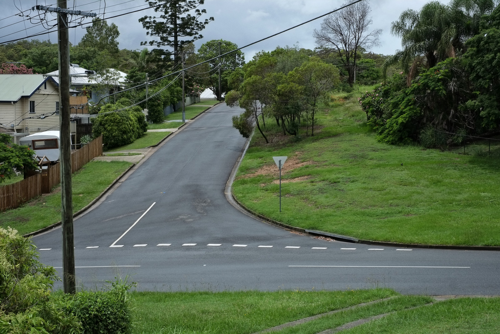 Wide roads and an even wider grassy unimproved sidewalk, Seven Hills Bushland Reserve in the background at the end of the street. Photographed by Kent Johnson.