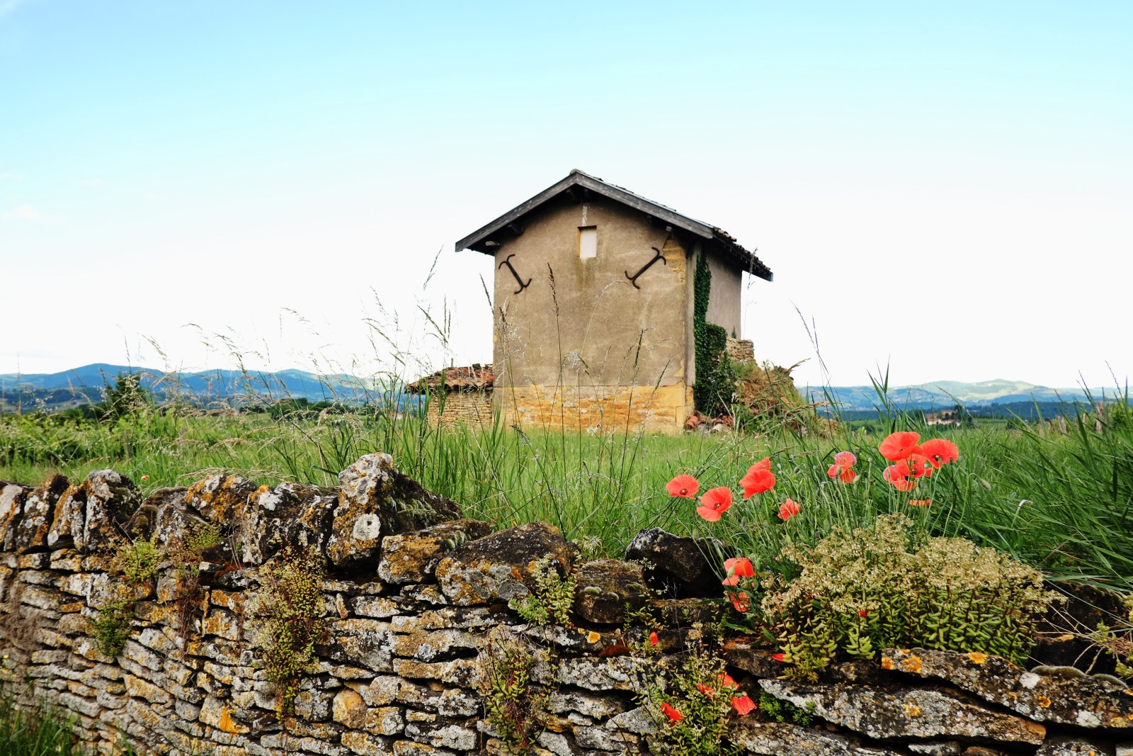 Beaujolais countryside; local dry stonework covered in lichen, roadside poppies, an old farm building and views to the hills. Photography by Kent Johnson.