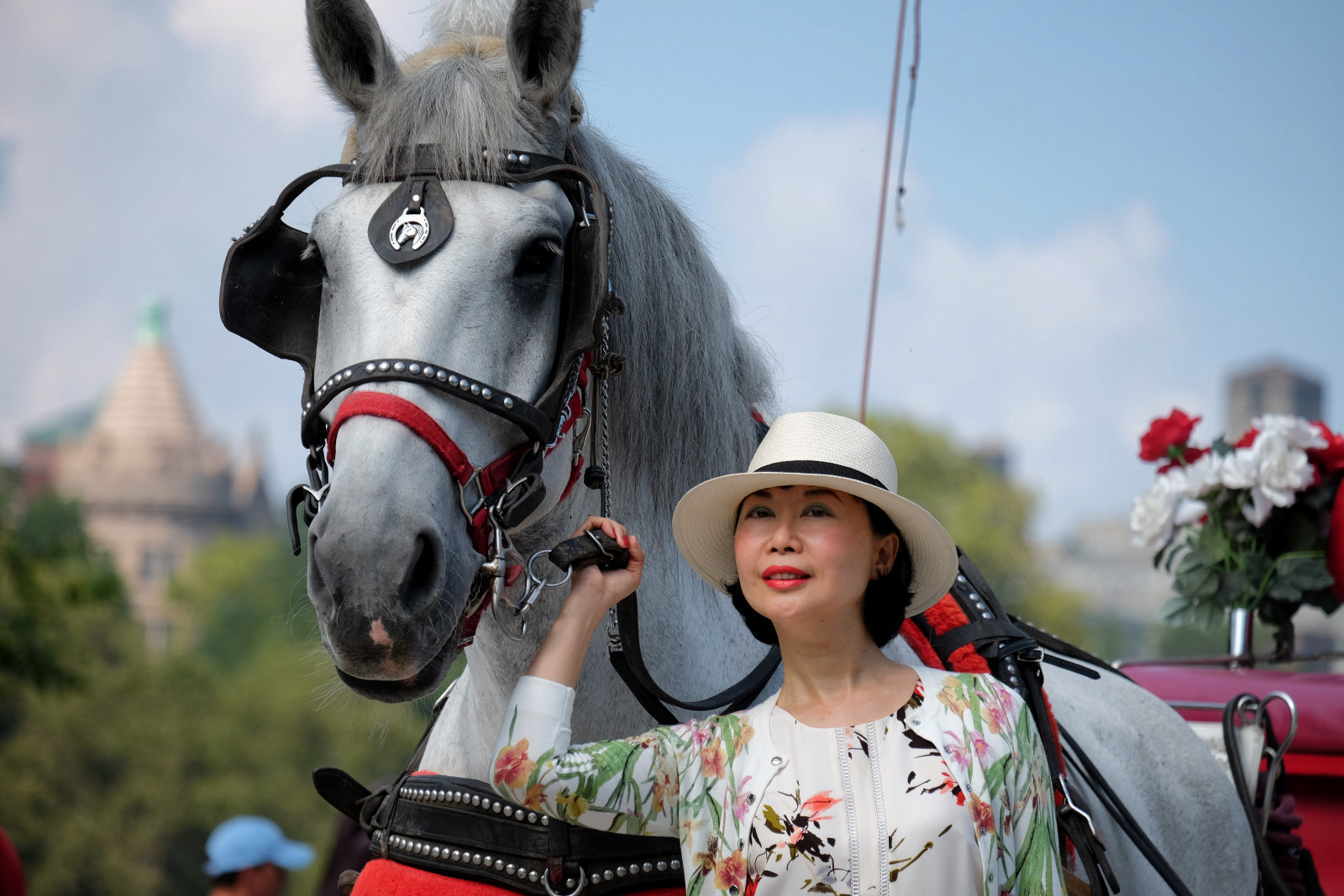 Vivienne with horse and buggy in New Yorks Central Park