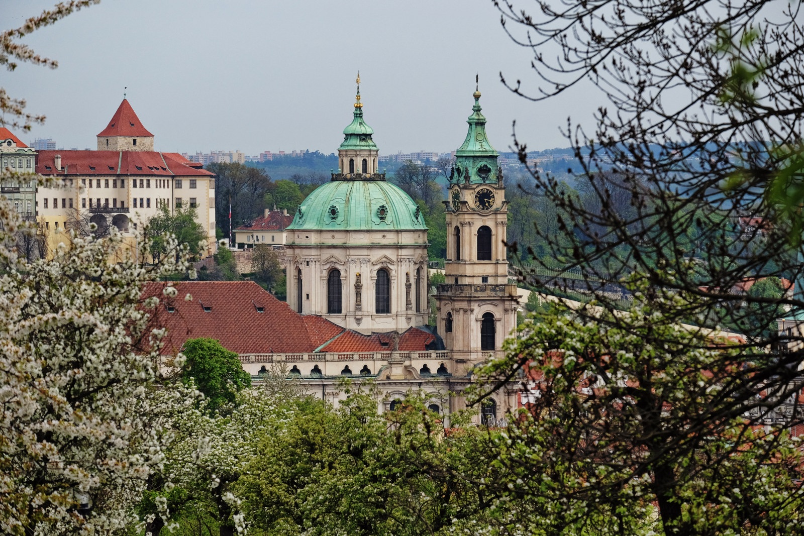 Domes of St. Nicholas Church Prague seen through spring blossoms of fruit trees in the orchards on Petrín Hill Park