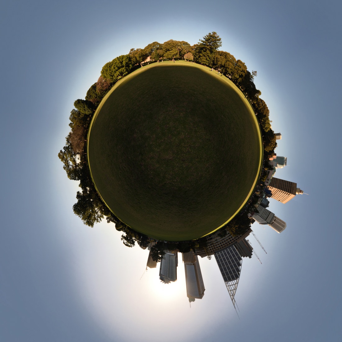 Sun highlights the tree line and cityscape, The Domain Sydney, Travel and 360VR photography by Kent Johnson.