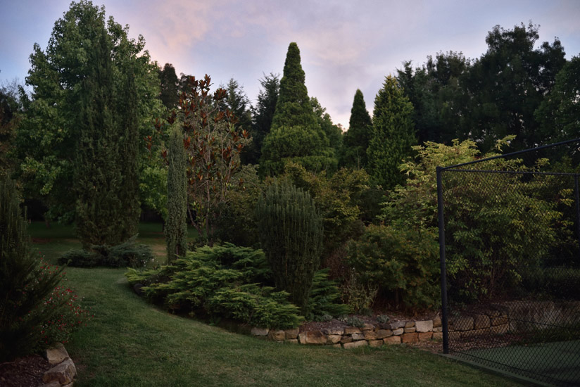 Australian lifestyle photography, a garden boarder and shrubbery at the Fitzroy Inn, Mittagaong. Garden and travel photography by Kent Johnson.